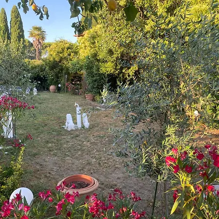 Le Pervinche 3* Bastia Umbra